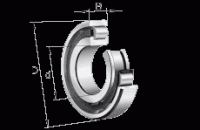 Цилиндрические роликоподшипники N1022-K-M1-SP