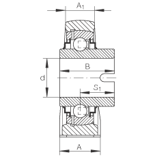 Стационарные подшипниковые узлы RASEL30-N, корпус из серого чугуна, плавающий подшипник, поводковый паз во внутреннем кольце, R-уплотнения